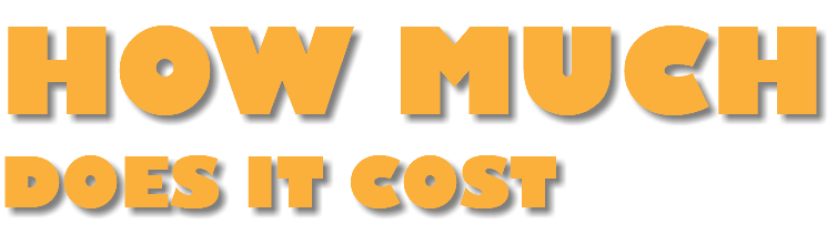 HOW MUCH DOES IT COST