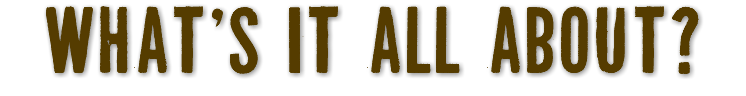 what's it all about?
