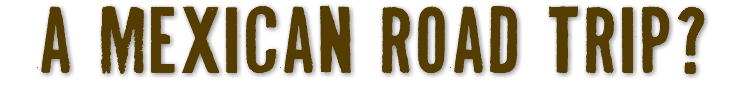 a mexican road trip?