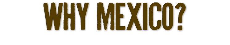 why mexico?